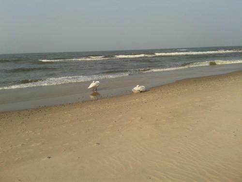 Apartamento Bor�wka W Blue Mare