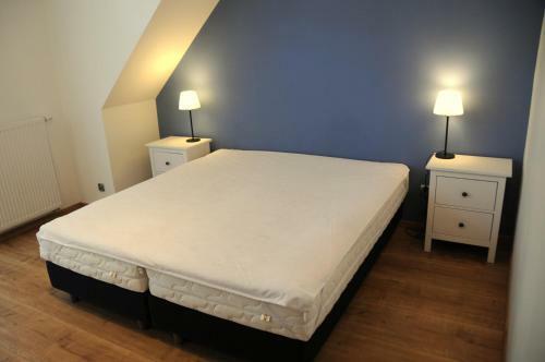 Zielony Zak?tek