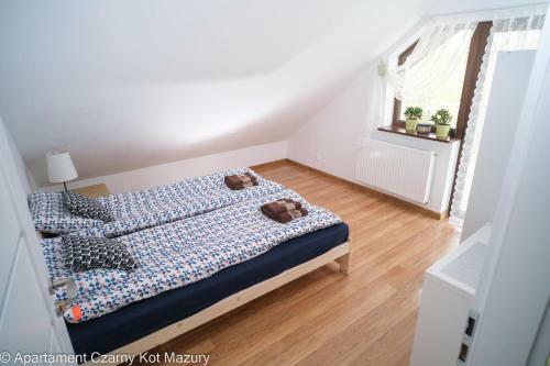 Czarny Kot Mazury Dom Ca?oroczny