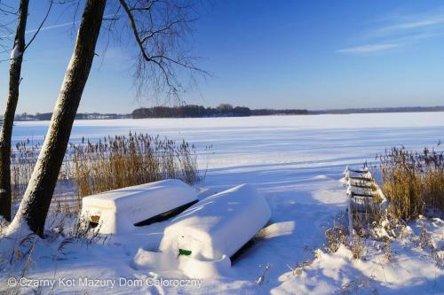 Czarny Kot Mazury Dom Ca?oroczny