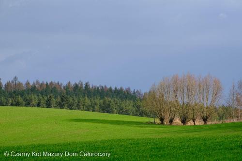 Czarny Kot Mazury Dom Ca?oroczny