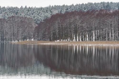 Czarny Kot Mazury Dom Ca?oroczny