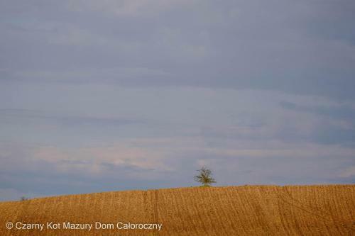 Czarny Kot Mazury Dom Ca?oroczny