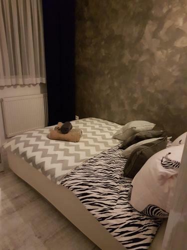 Apartament Nowe Maniowy