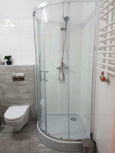 Apartament Nowe Maniowy