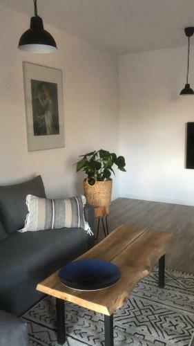 Apartament Go?cinne Sady