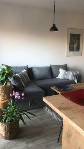 Apartament Go?cinne Sady