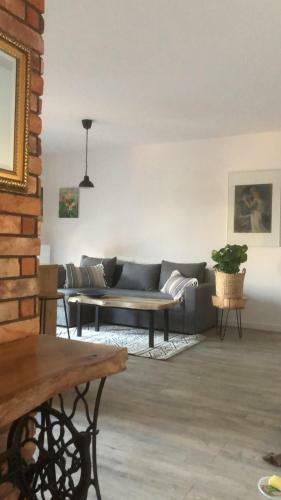 Apartament Go?cinne Sady
