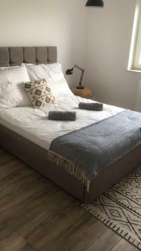 Apartament Go?cinne Sady
