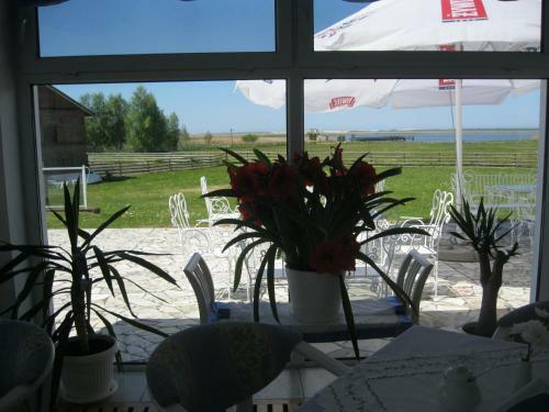 Bed & Breakfast Rezydencja Nad Jeziorem ?ebsko