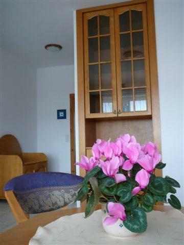 Bed & Breakfast Rezydencja Nad Jeziorem ?ebsko