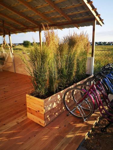 Domki Summer Home ?eba