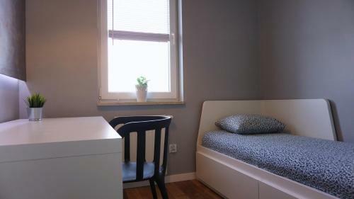 Apartament Lublin Centrum "foxy Cat"