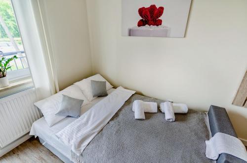 Apartamento Novomiejska 17
