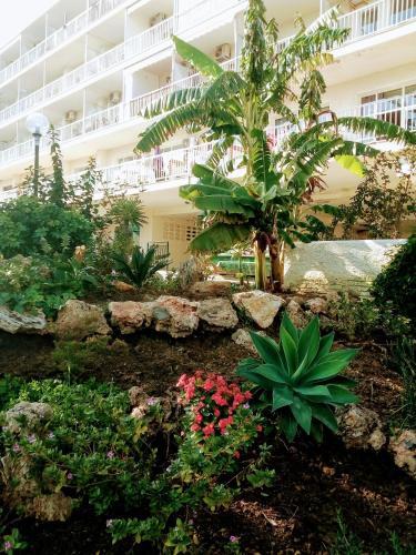 Apartamentos Caravane (carihuela Park)