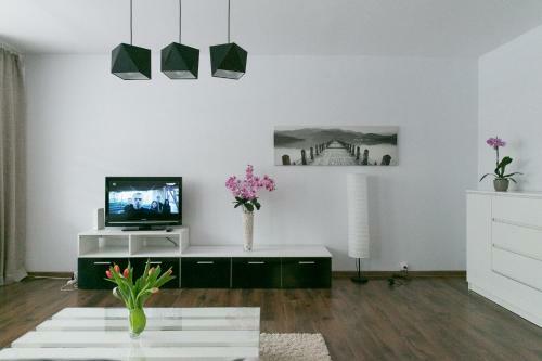 Apartamento Zielona Herbowa