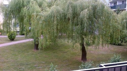 Apartamento Zielona Herbowa
