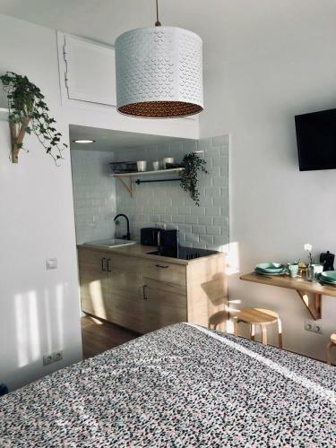 Blue Flamingo Apartment