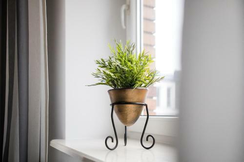 Apartament Nadbystrzycka No.07