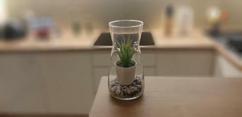 Apartament Cyrkoniowa