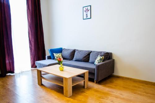 Apartament Br?zowy Narutowicza 11