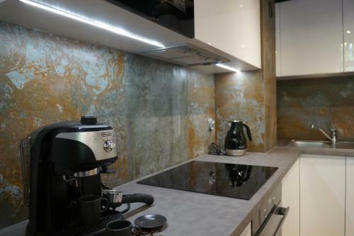 Apartamento Sienkiewicza Loft1