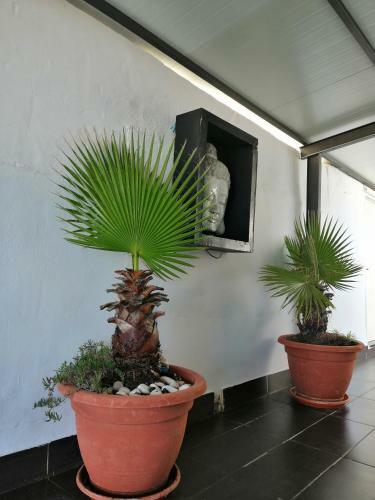 Apartamento Clark Suites
