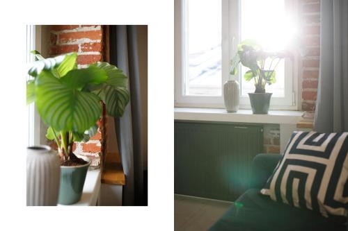 Apartament Piotrkowska 67