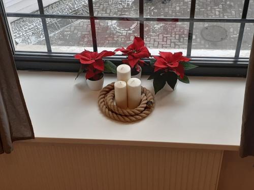 Apartamento Pomorska 65