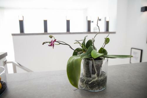 Apartamento Spacious 200 Sq.m. Penthouse With Sea View Terraces