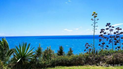 Apartamento Torremolinos 1� Linea Playa