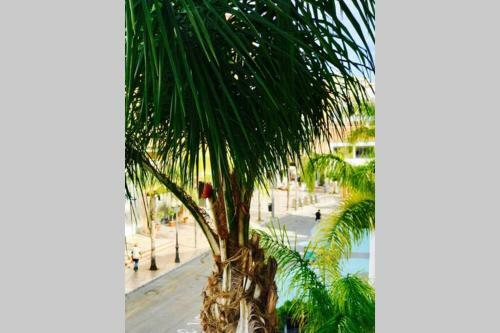 Apartamento Begona City Center Studio 231
