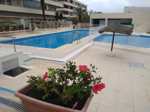 Apartamento Nogalera 109