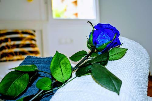 Apartamento Paris Luxury Architecture - Torremolinos