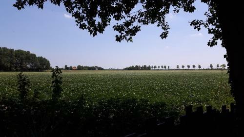 Vakantiewoningen De Schelp