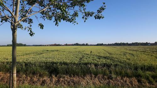 Vakantiewoningen De Schelp