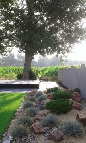 Vakantiewoningen De Schelp