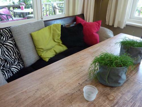 Hotel-pension Zoom-oord