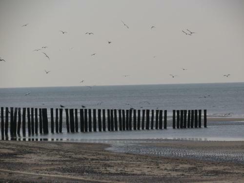 Hotel De Vier Seizoenen
