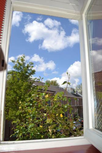 Bed & Bicycle Limes Oudwijk