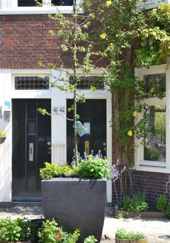 Bed & Bicycle Limes Oudwijk
