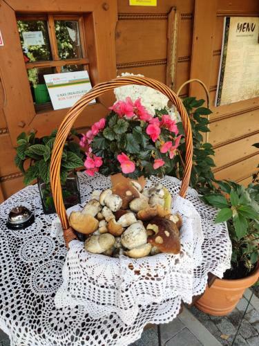 Bed & Breakfast Chata Na Groniu