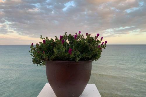 Apartamento Amazing Stay With Frontline Sea Views Torremolinos