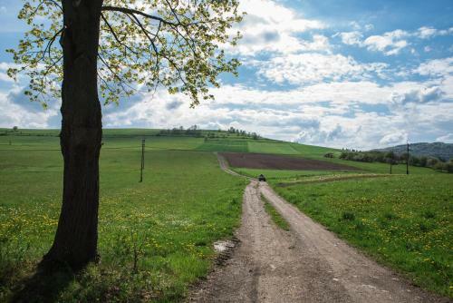 Agronoclegi ,,na R�wni"