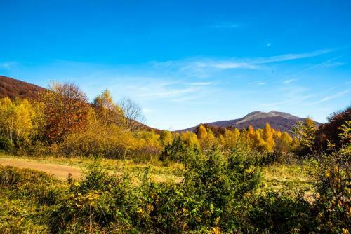 Domek "przybysz�wka" Bieszczady