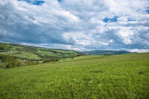 Domek "przybysz�wka" Bieszczady