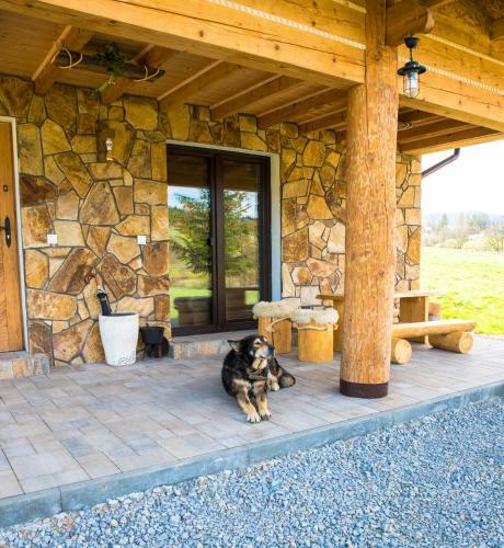 Domek "przybysz�wka" Bieszczady
