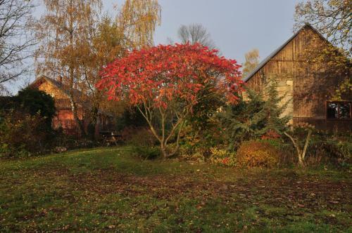 Apartament Siedlisko Ciszy