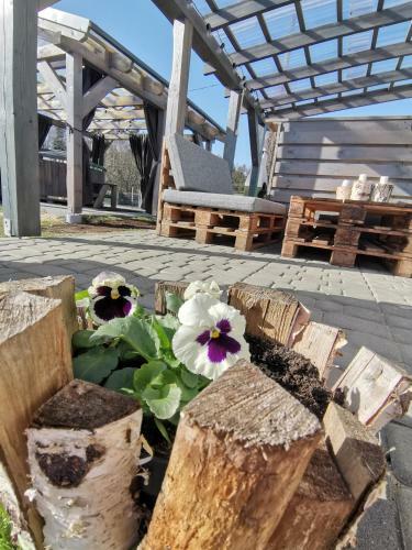 Domki Apartamentowe Balia