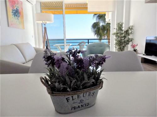 Apartamento Santa Clara Cornisa